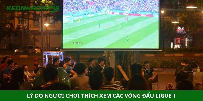 Lý do người chơi thích xem các vòng đấu Ligue 1